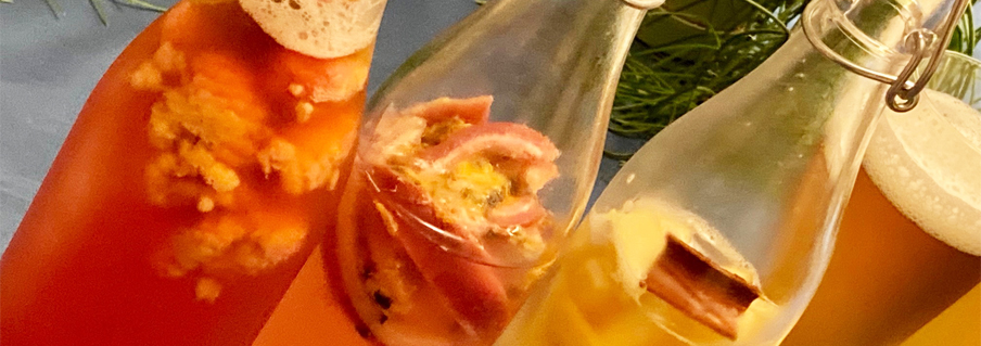 Kombucha/コンブチャ