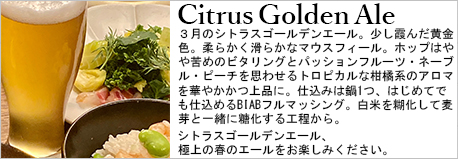 Citrus_Golden_Ale