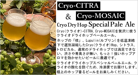 Cryo-DryHop Special Pale Ale ビールキット